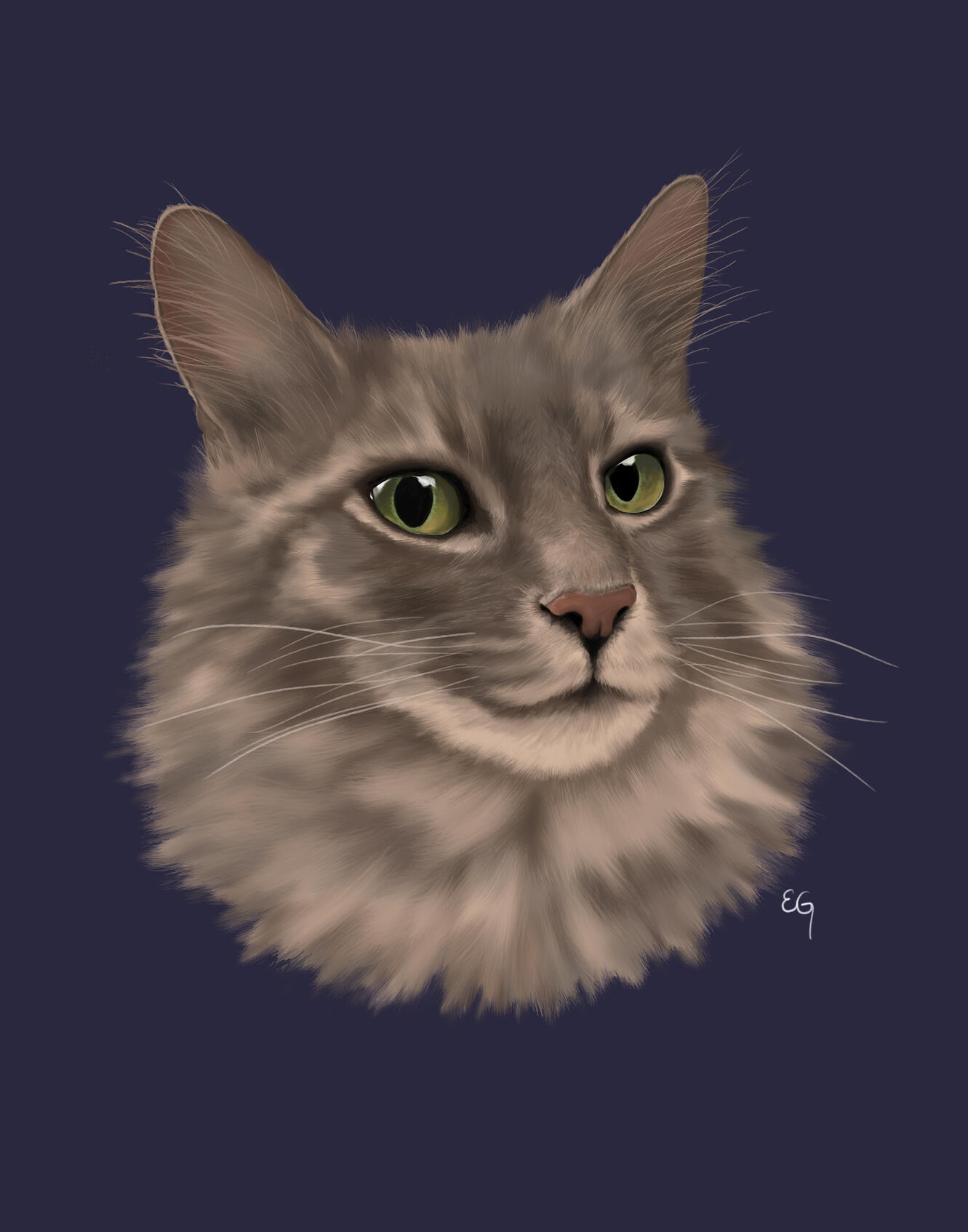 Cat Portrait