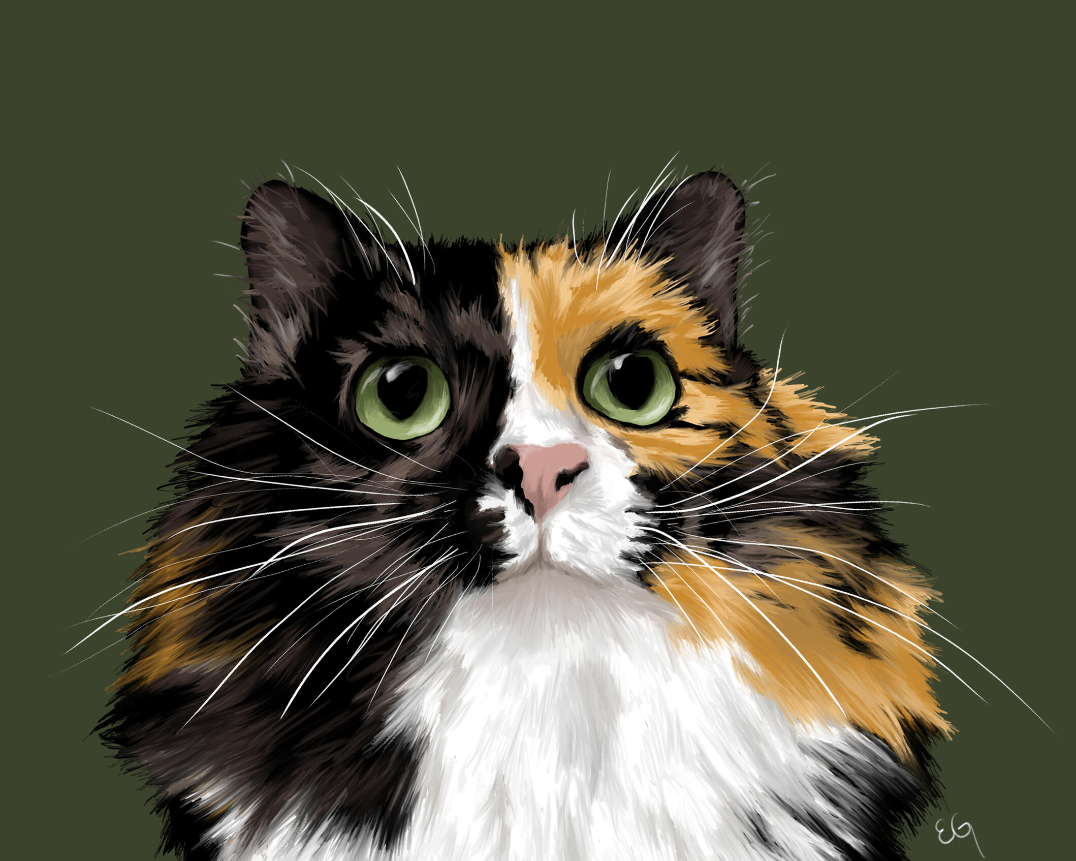 Cat Portrait